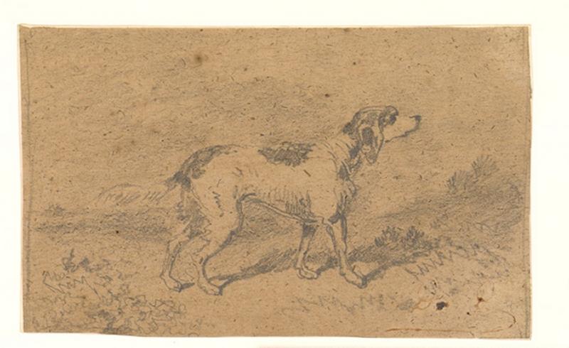 Chien de chasse aux aguêts
