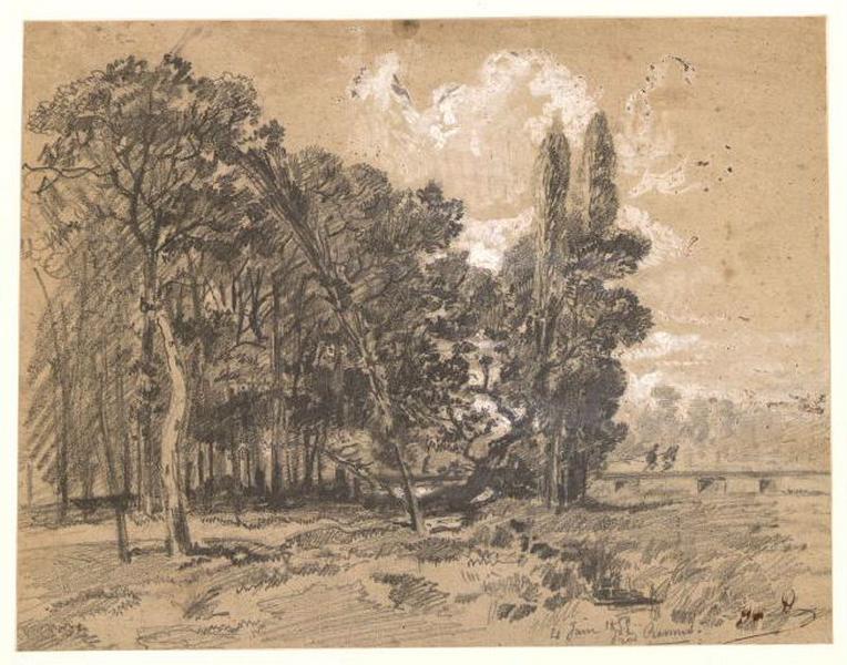 Paysage, arbres coupés et silhouette sur un pont