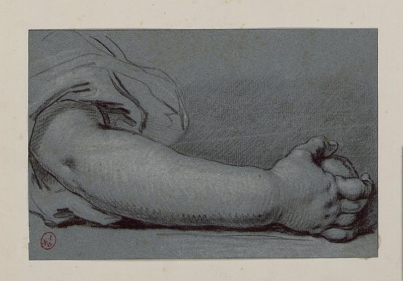 Etude d'un bras d'enfant