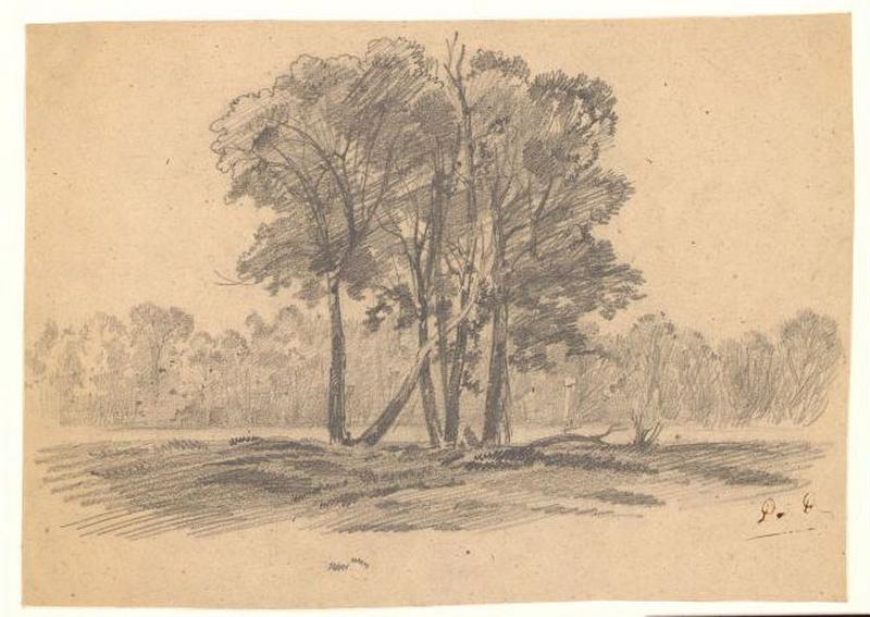 Arbres