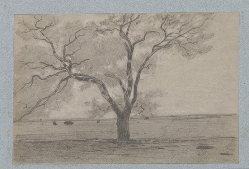 Paysage
