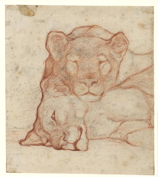 Deux lions couchés