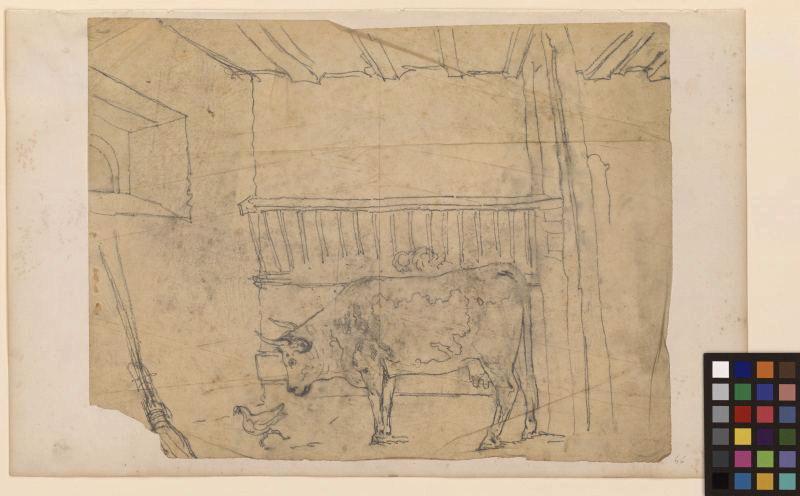 Vache dans une étable, poule
