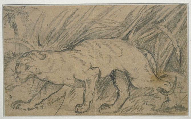 Etudes diverses ; Quatre études ; Panthère au milieu d'un fourré