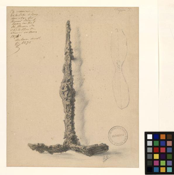 Patte-fiche ; Thermes des Châteliers de Frémur