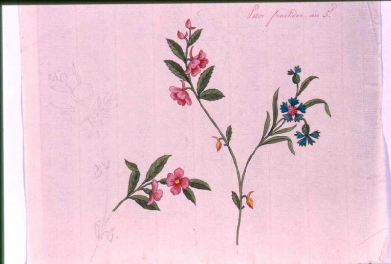 Modèle pour indienne : Motifs floraux