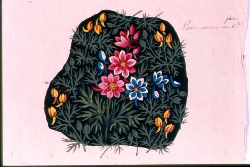 Modèle pour indienne : Motifs floraux