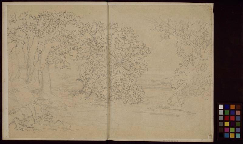 Paysage : arbres