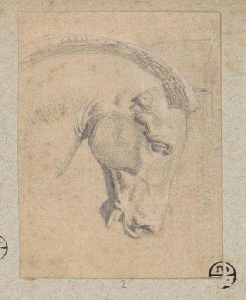 Tête de cheval