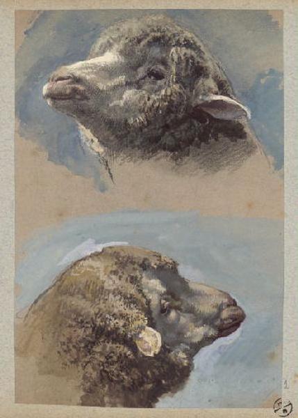 Mouton