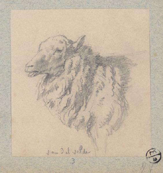Mouton