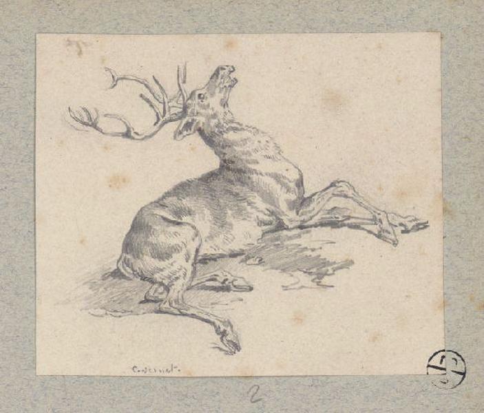 Cerf couché