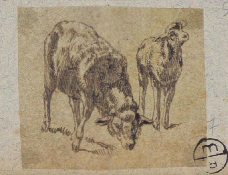 Brebis et agneau