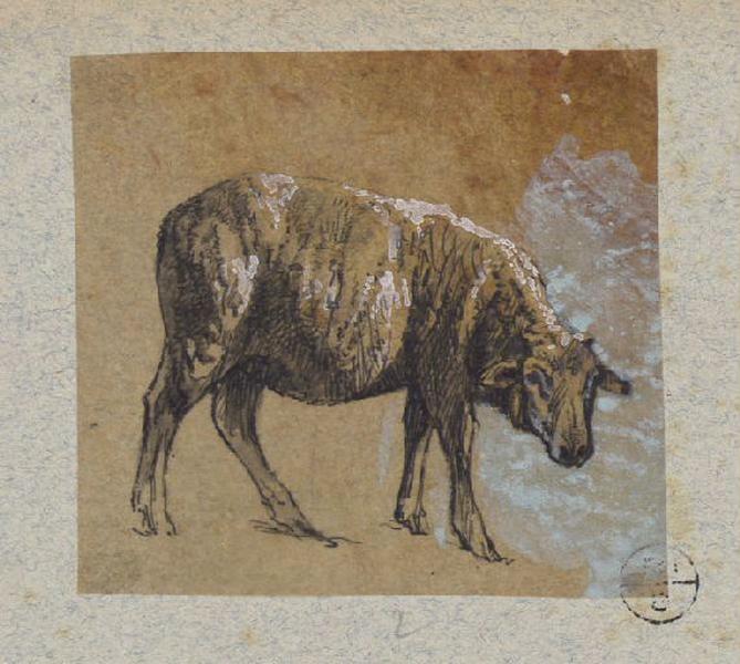 Mouton