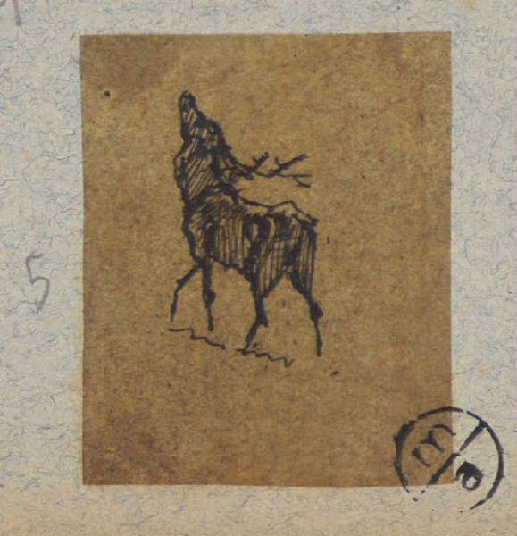 Cerf