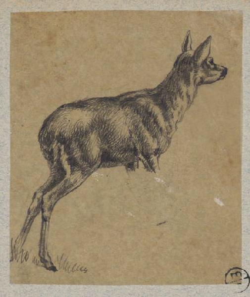 Biche