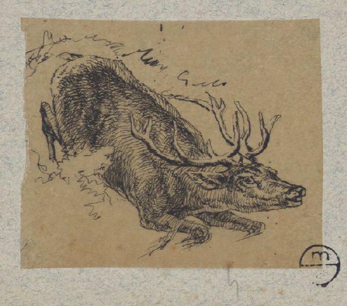 Cerf se couchant