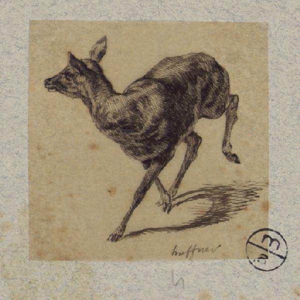 Biche