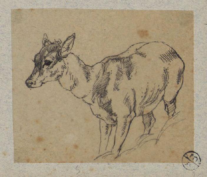Biche