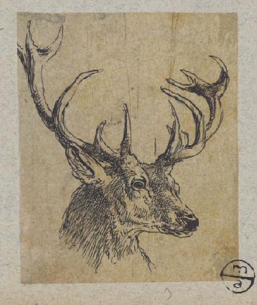 Tête de cerf