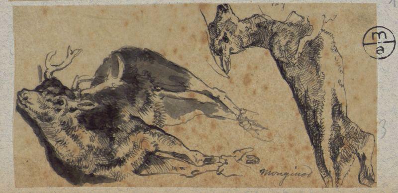 Biche et cerf morts