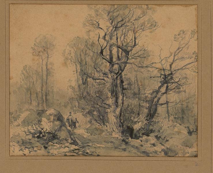 Chemin dans un sous-bois