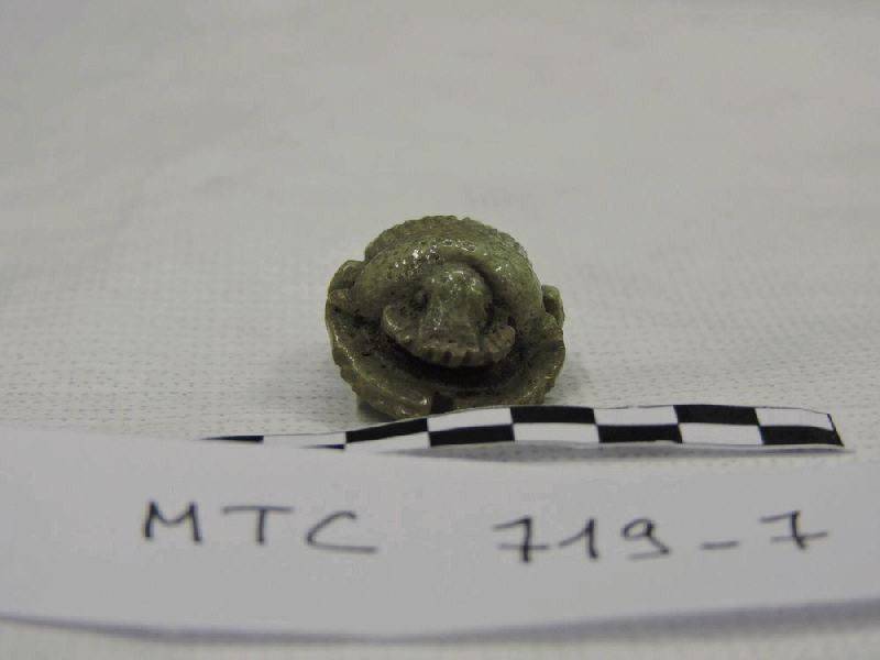 Scarabée avec bélière ventrale ; Scarabée