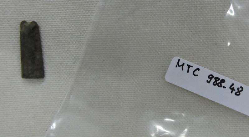 Amulette en forme de double plume shouty