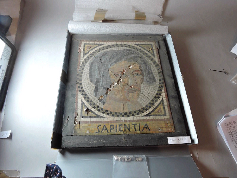 Fragment de mosaïque "Sapienta"