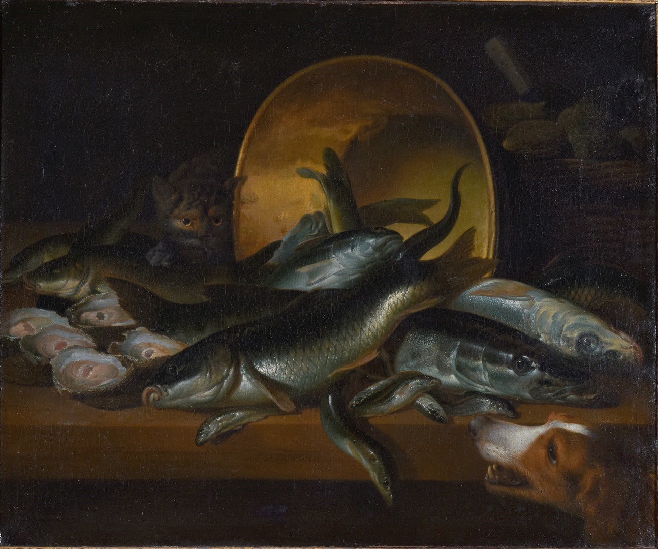 Poissons morts, coquillages, chat, chien et chaudron sur une table ; Un chat et un chien regardant des poissons placés sur une table de cuisine