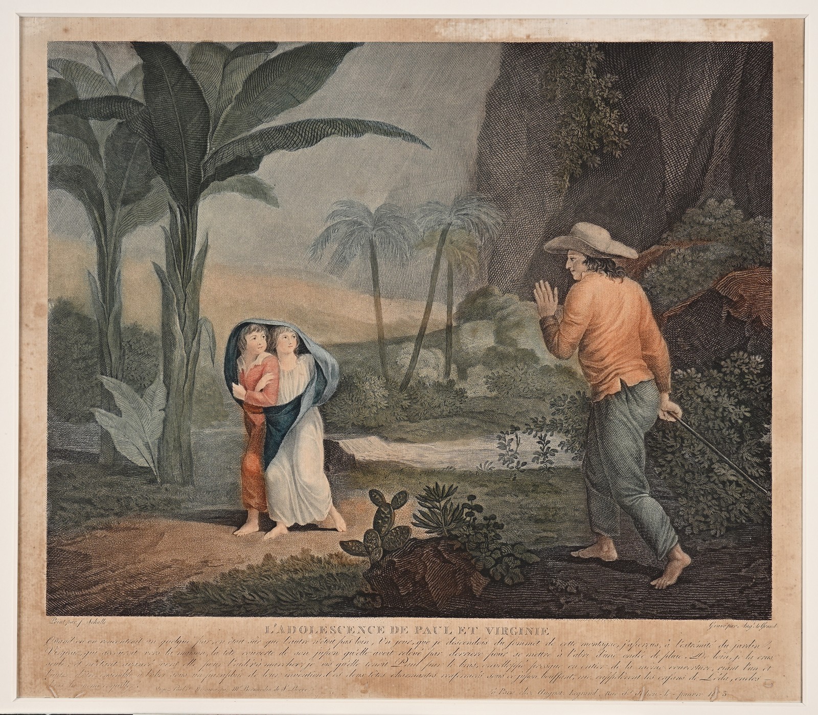 Histoire de Paul et Virginie : L'adolescence de Paul et Virginie