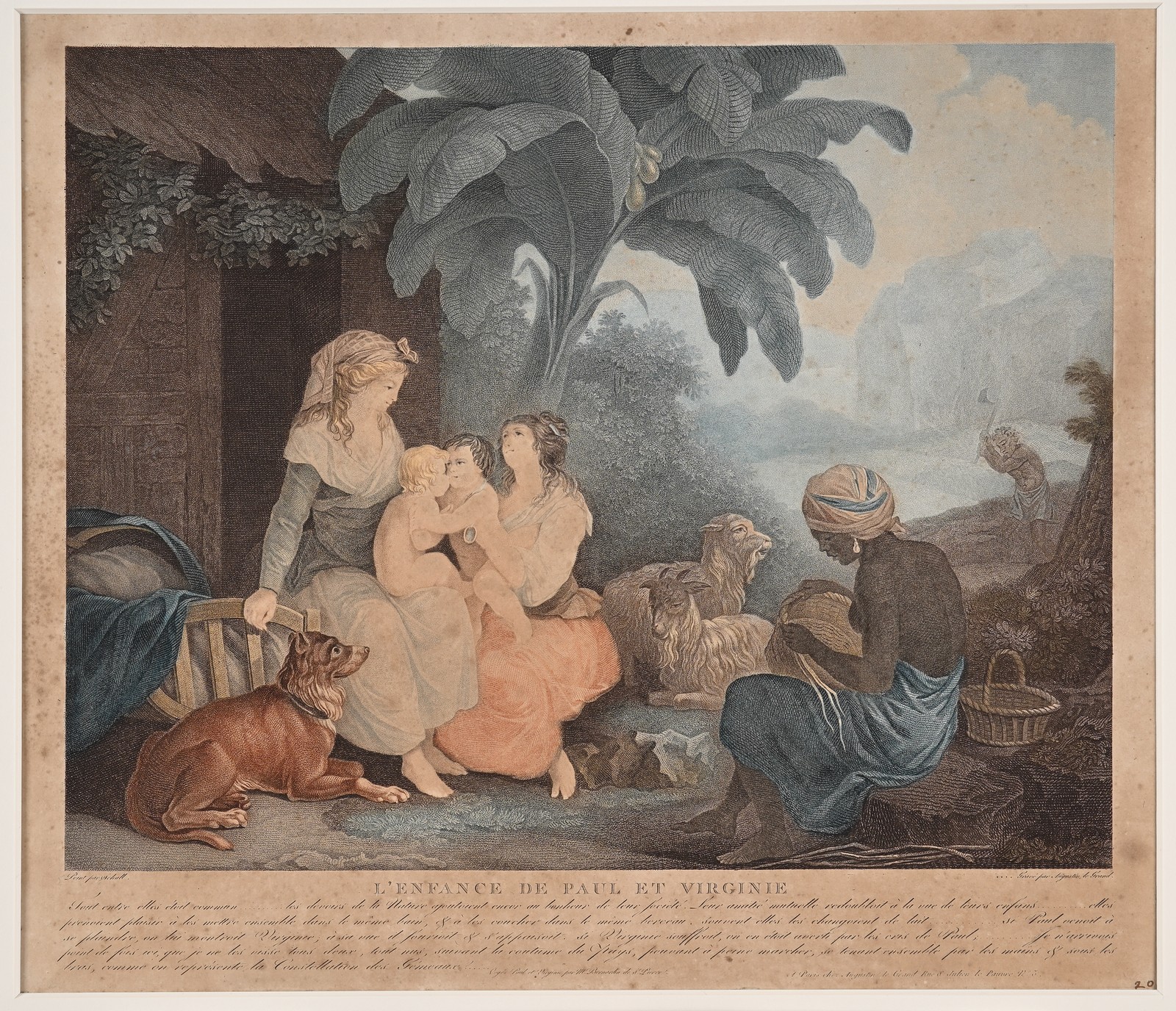 Histoire de Paul et Virginie : L'enfance de Paul et Virginie