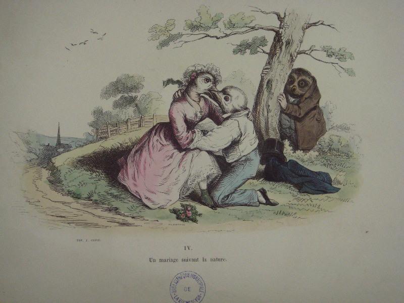 Les métamorphoses du jour (planche 04) : Un mariage suivant la nature