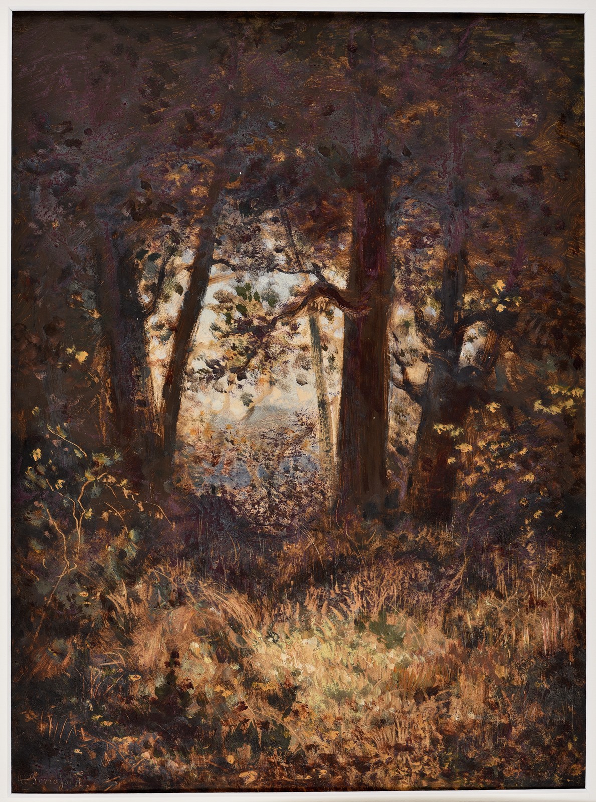 Forêt de Fontainebleau