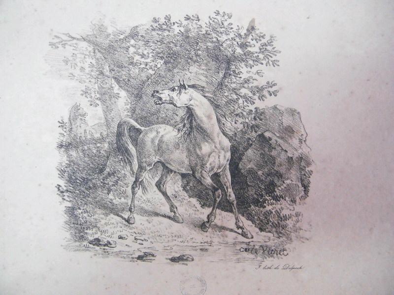 Cheval hennissant