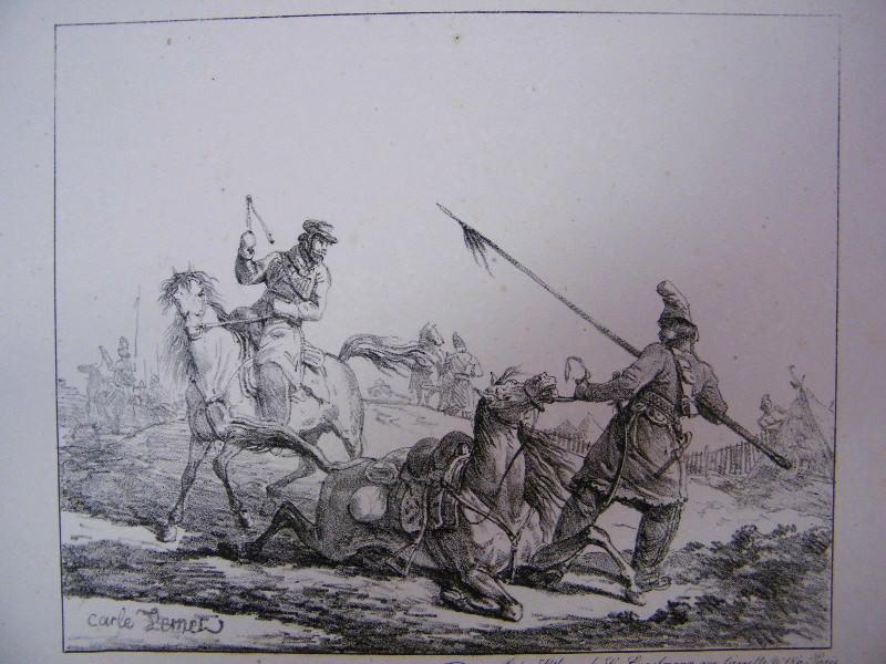 Cheval à terre