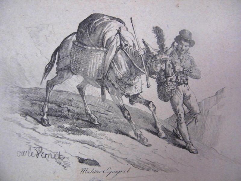 Muletier espagnol