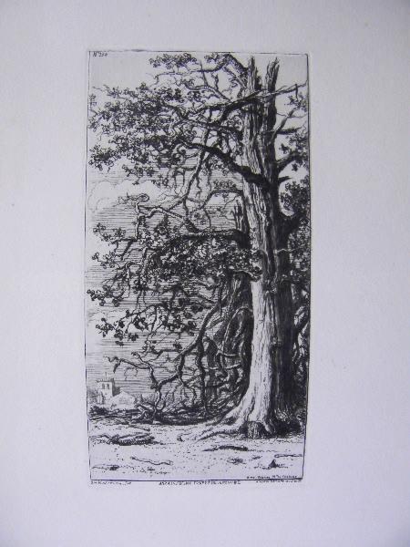 Estampe (n°134) : Auzais. Chêne frappé de la foudre