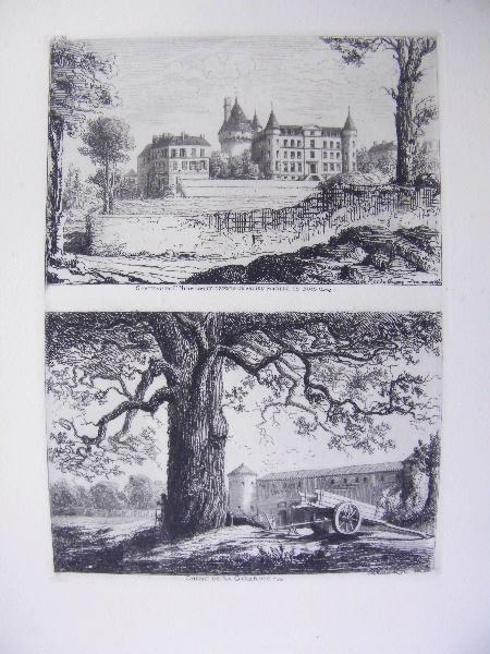 Revue Poitou et Vendée (n°98) : Château de L'Hermenault d'après un ancien modèle en bois/ Chêne de la Girardie