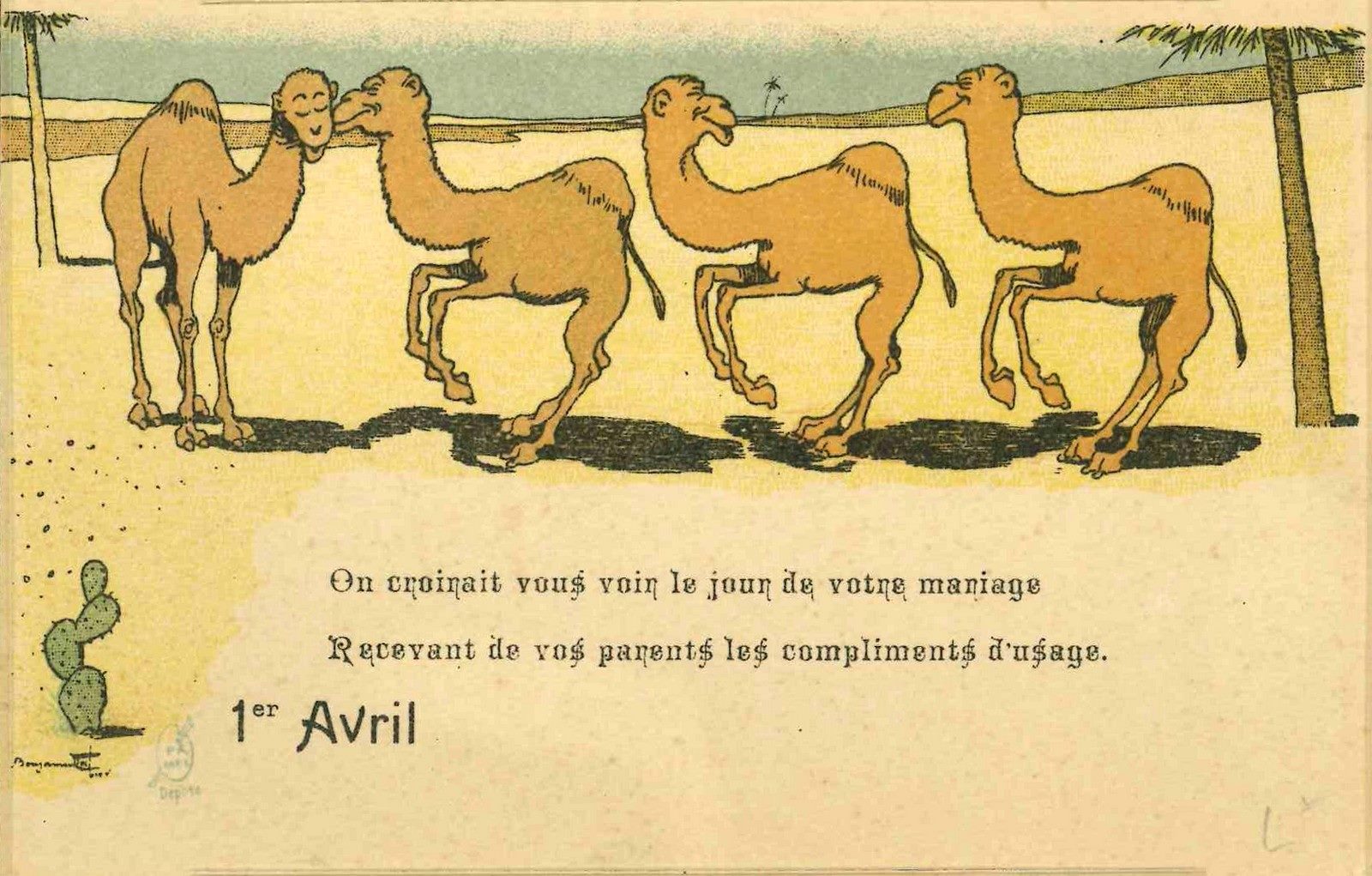 1er avril (les dromadaires)