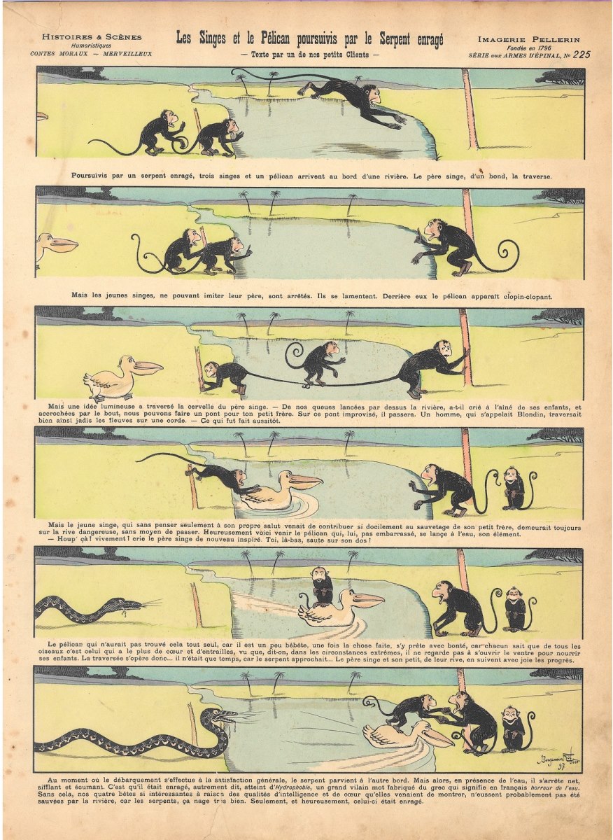 Les singes et le pelican poursuivis par le serpent enragé
