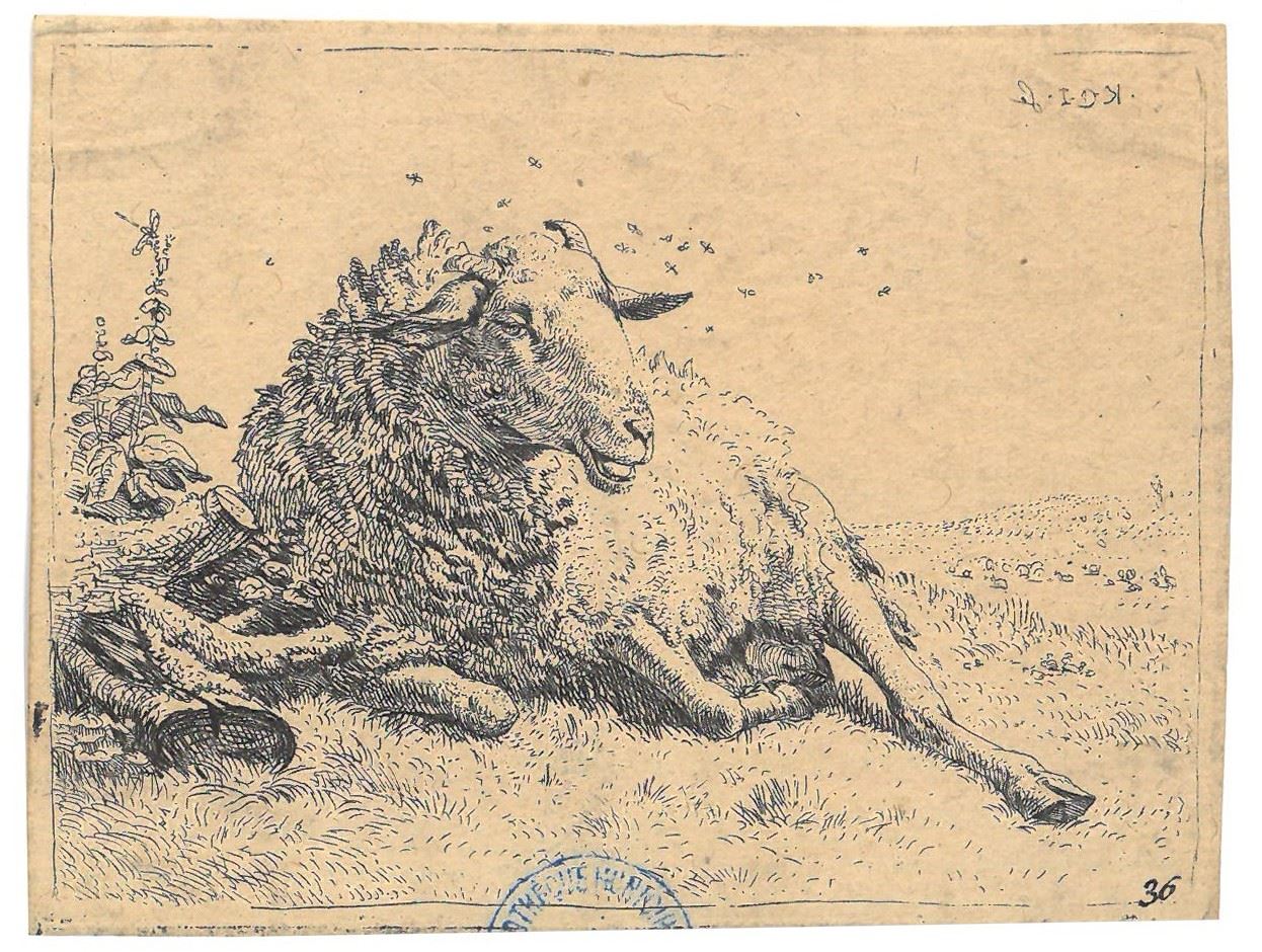 Mouton près d'un fagot