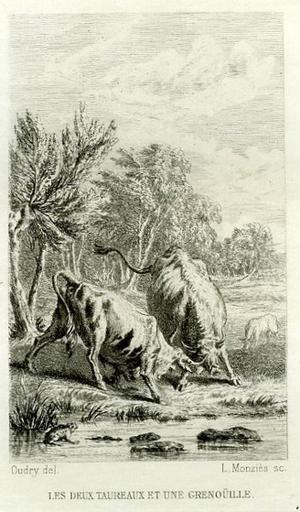 Les deux taureaux et une grenouille, II, 4