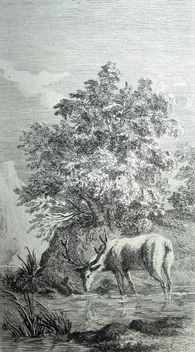 Le cerf se voyant dans l'eau, VI, 9