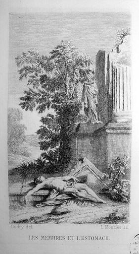 Les membres et l'estomac, III, 2