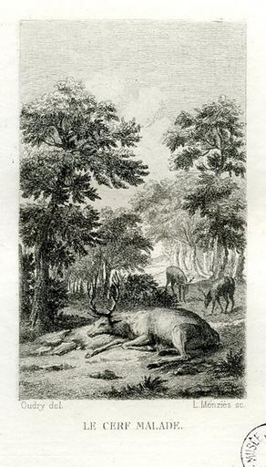 Le cerf malade, XII, 6