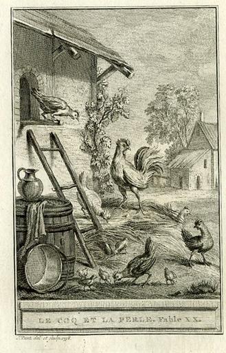 Le coq et la perle, I, 20