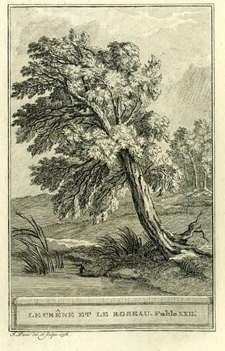 Le Chêne et le Roseau, I, 22