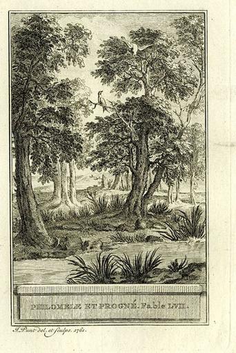 Philomèle et Progné, III, 15