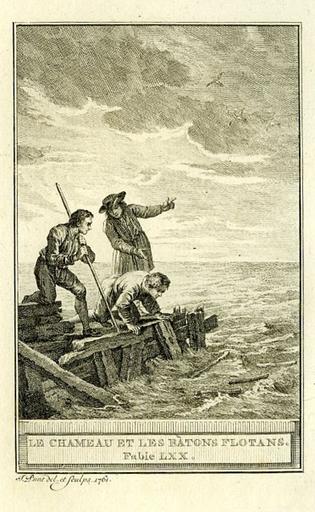 Le chameau et les bâtons flottants, IV, 10